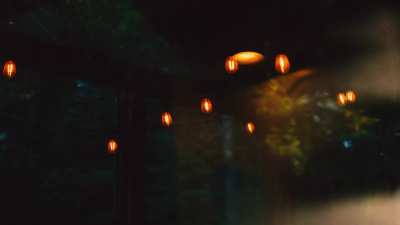 The Last Rays of Sun on the Back Porch