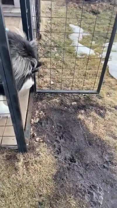 Дворя<wbr>нин