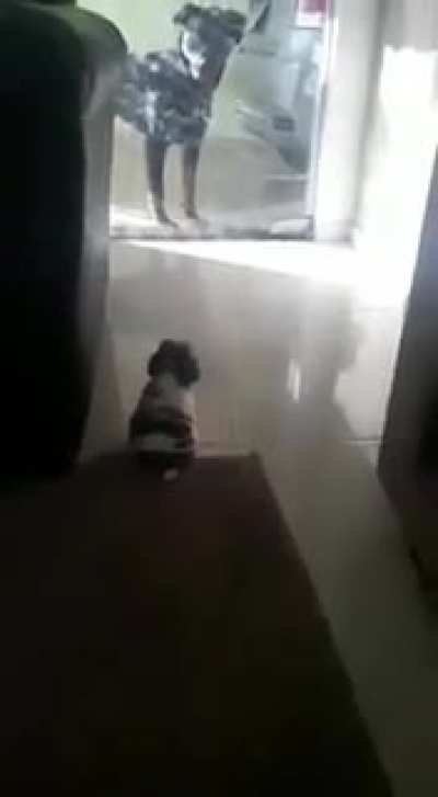 Smol bark vs big bork