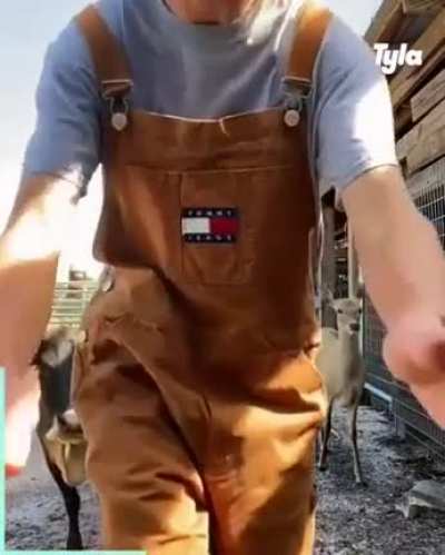Эмануэль говнюк