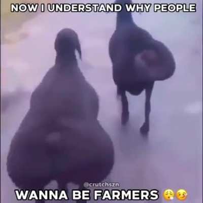 🥵🥵