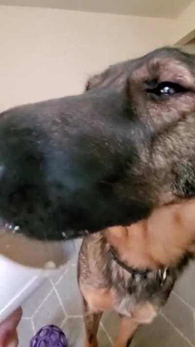 Leo's wide angle snoot