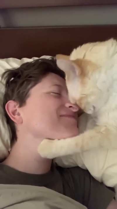 Does this cat have any actual orange genes on it? Or is it void of orange? 