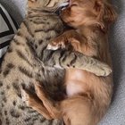 My Heart