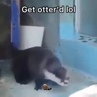 Title