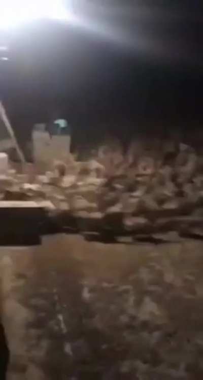 Goose attack