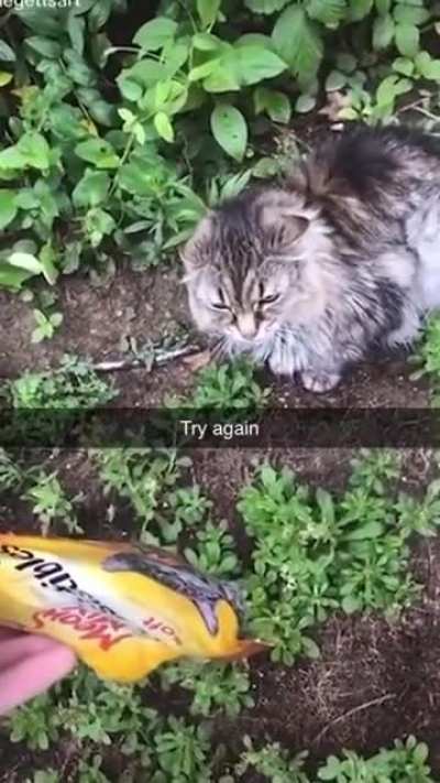 try again