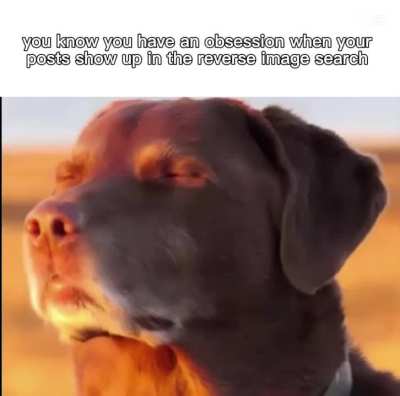 im cooke<wbr>d😭😭😭🙏<wbr>🙏🙏