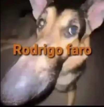 deixa eu dae uma cafungadinha em você? 😳