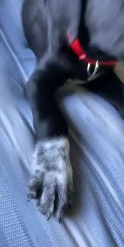 attac