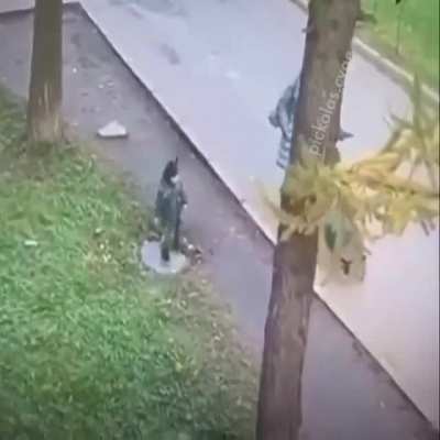 Adios amigo