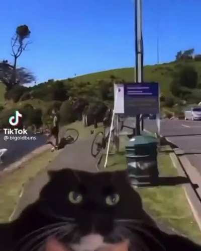 Happy Caturday!