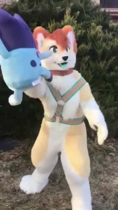 attack_irl