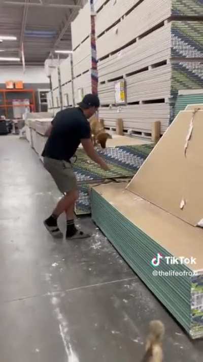 Lady uses Home Depot as her personal dog park.