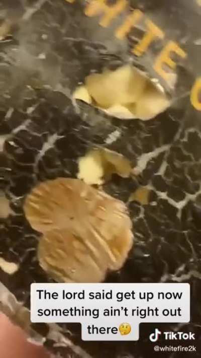 Smart Food