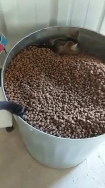 Хорошо устроился