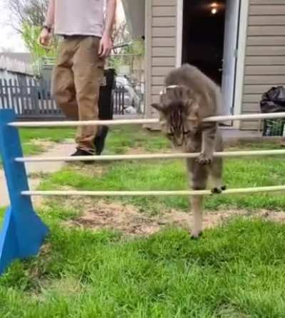 Totally meant to do that.
