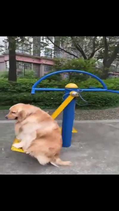 eu🐶nvr