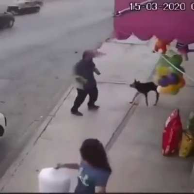 Man tries to kick dog
