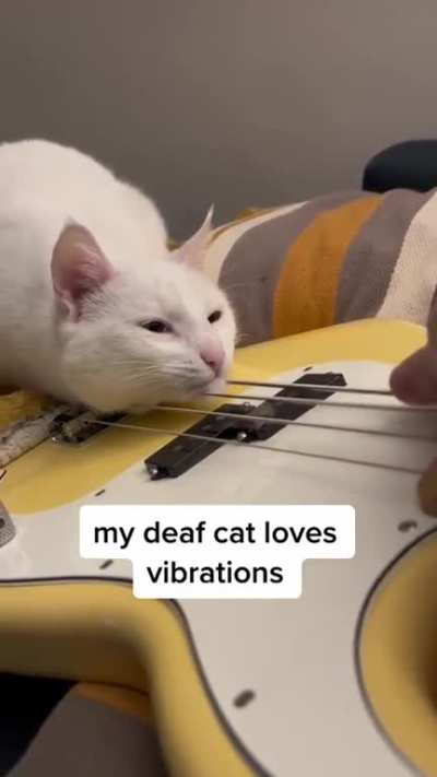 Good Vibrations