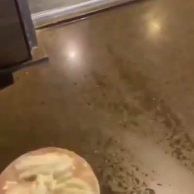 extra whipped cream