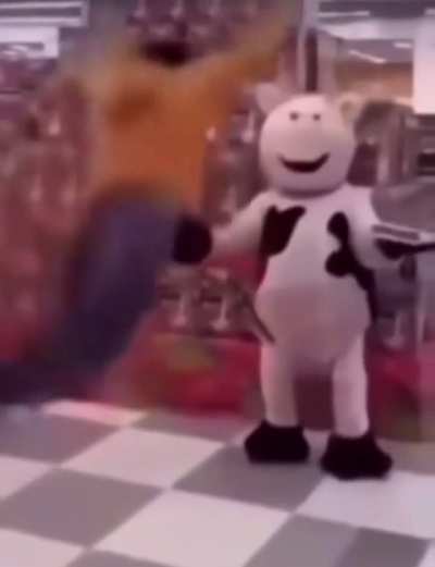 Funny cow man rule