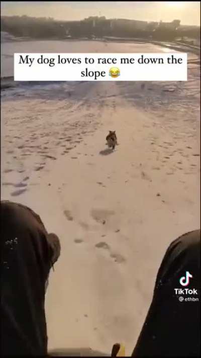 Let’s have a race!