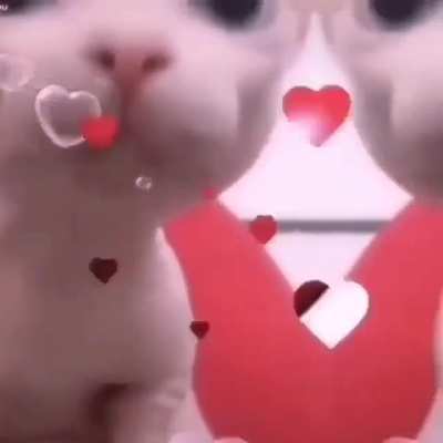 Bingus