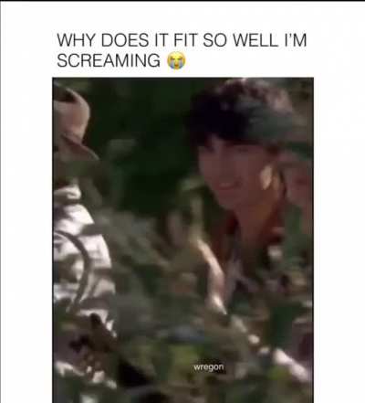 Oh well well harry!