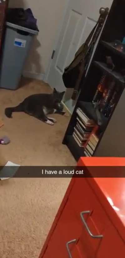 He's deaf and old