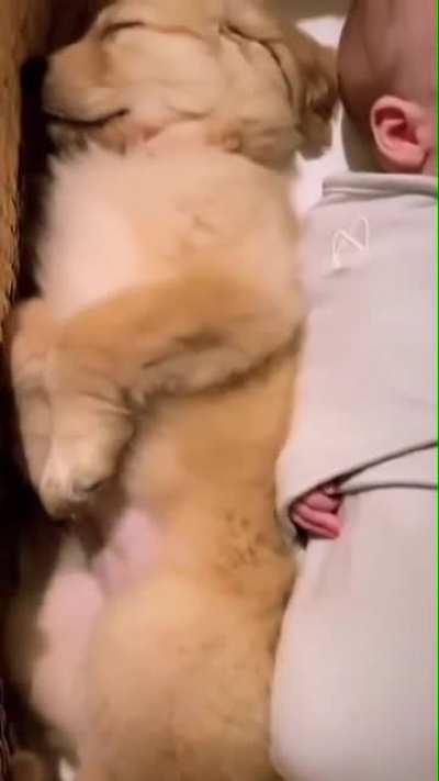 Holy Cuteness!!!!