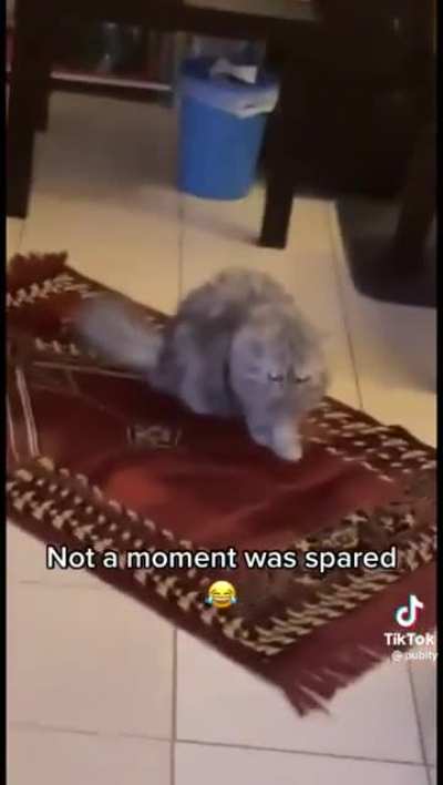 unexpected