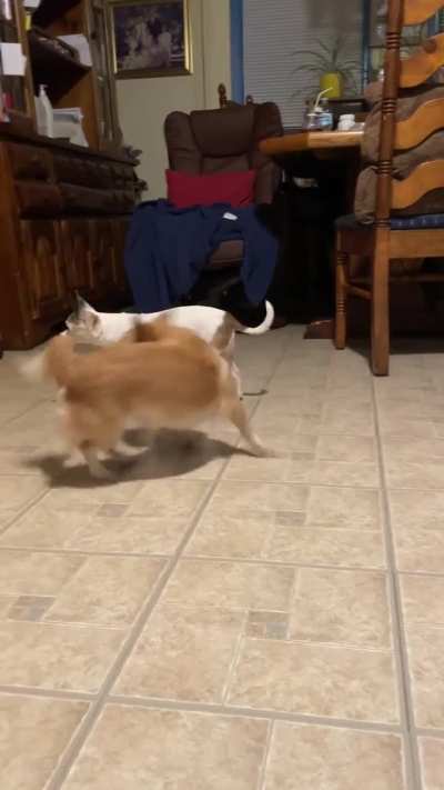 Spin cycle