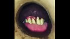 cursed_delicacy