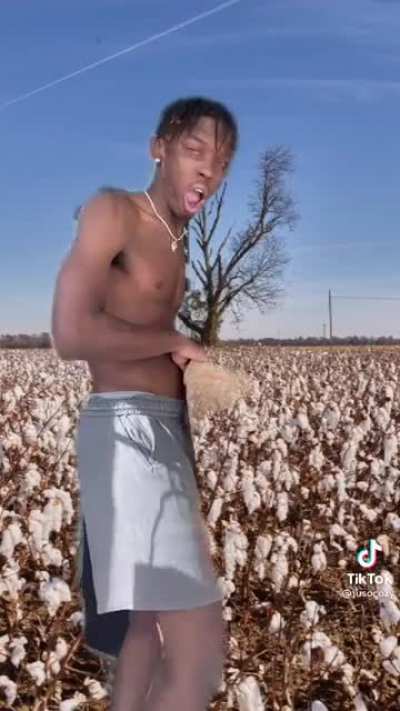 mods pls don't ban me I'm not racist