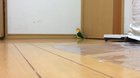 Modern Warfare Footsteps Be Like...