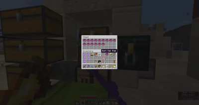 After trading with my villagers for Mending books an unexpecting me get a surprise...