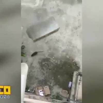 shitposting - Video #8307