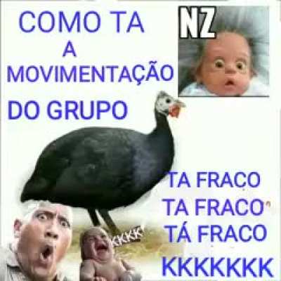 🐓