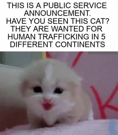Please get in touch