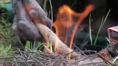 Bonobo learns how to make his own melted marshmallows.