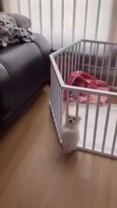 Jailbreak failed.