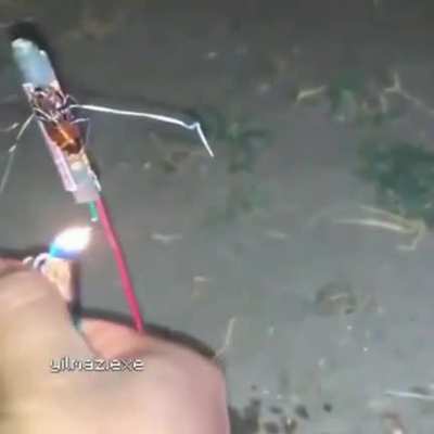 roger a primeira barata a ir para o espaço