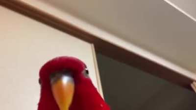 Postando só pq achei fofim :3