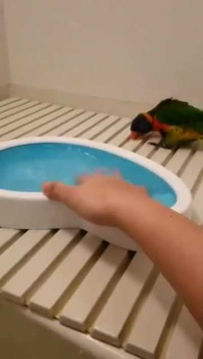 Hops and splashes