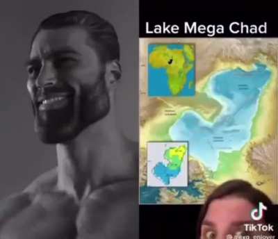 me irl