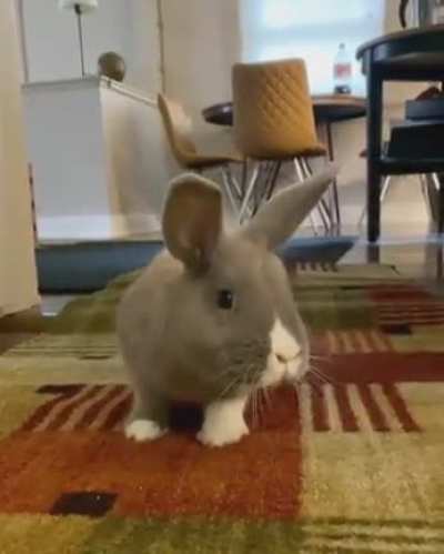 Lady exploring a new area for the first time