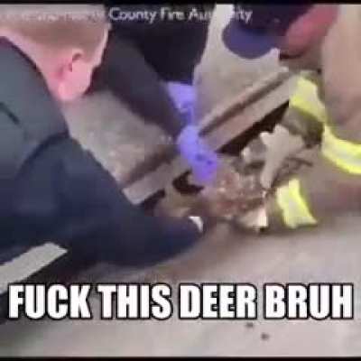 shitposting - Video #7501