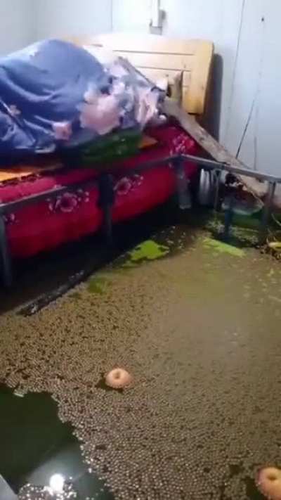 Did you sleep well?
