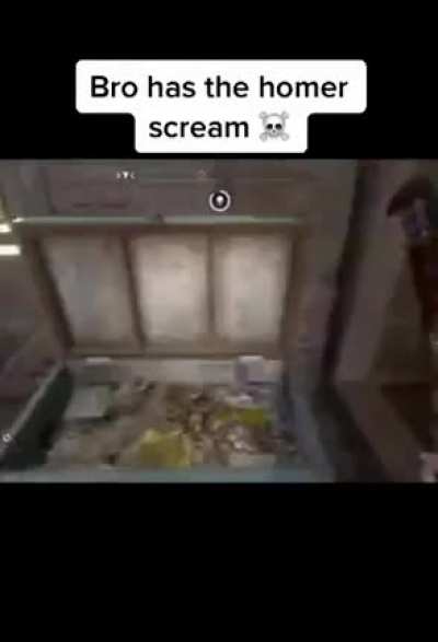ninja